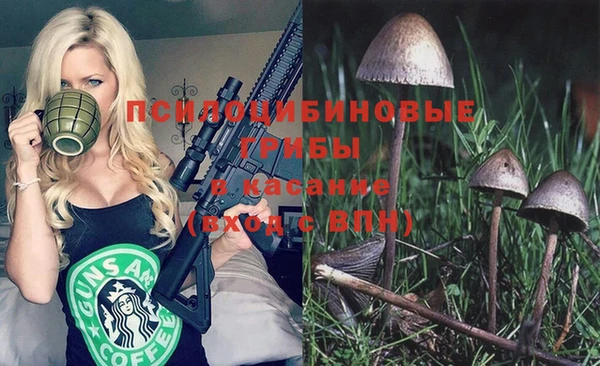 ешки Аркадак