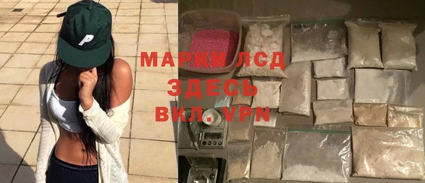 ешки Аркадак